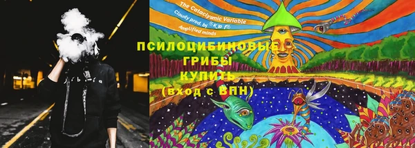 дурь Гусь-Хрустальный